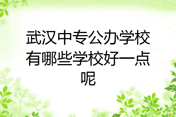 武汉中专公办学校有哪些学校好一点呢