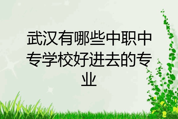 武汉有哪些中职中专学校好进去的专业