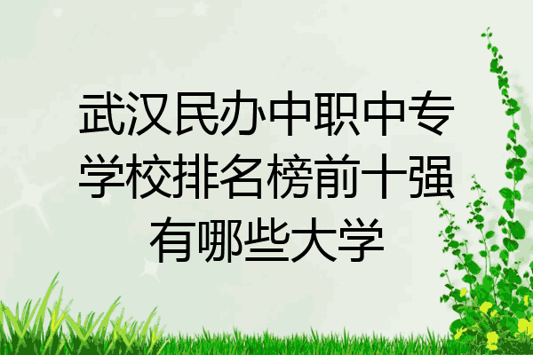 武汉民办中职中专学校排名榜前十强有哪些大学