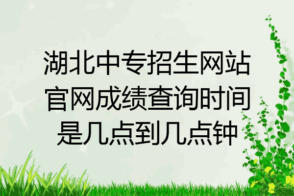湖北中专招生网站官网成绩查询时间是几点到几点钟