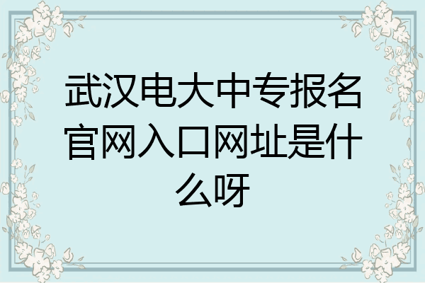 武汉电大中专报名官网入口网址是什么呀