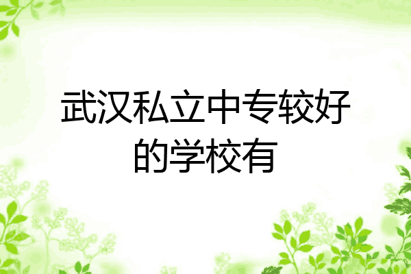 武汉私立中专较好的学校有