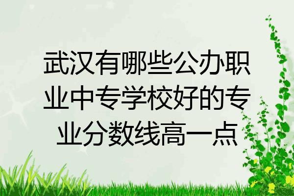 武汉有哪些公办职业中专学校好的专业分数线高一点