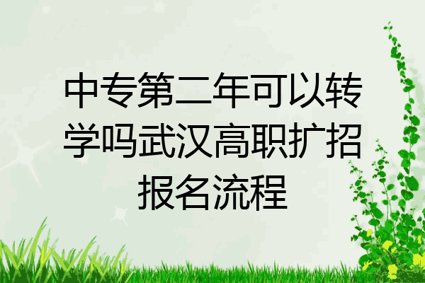 中专第二年可以转学吗武汉高职扩招报名流程