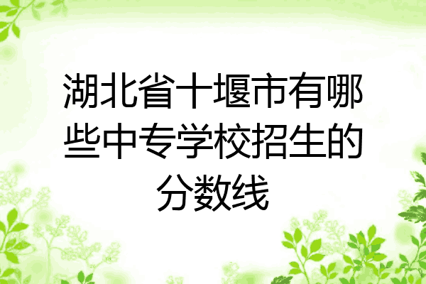 湖北省十堰市有哪些中专学校招生的分数线
