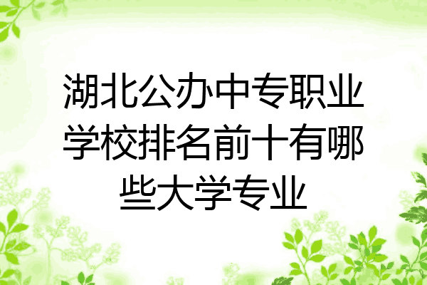 湖北公办中专职业学校排名前十有哪些大学专业