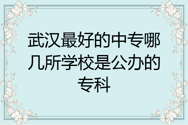 武汉最好的中专哪几所学校是公办的专科