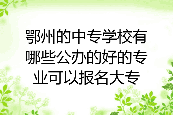 鄂州的中专学校有哪些公办的好的专业可以报名大专