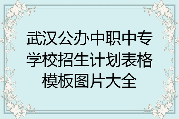 武汉公办中职中专学校招生计划表格模板图片大全
