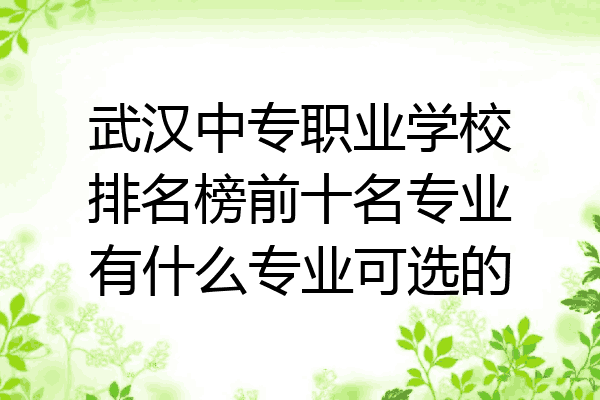 武汉中专职业学校排名榜前十名专业有什么专业可选的