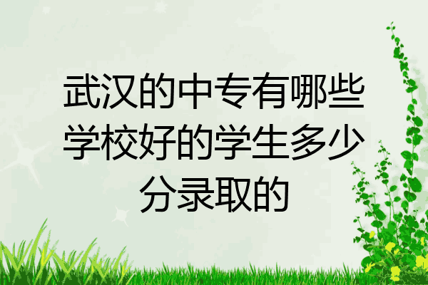 武汉的中专有哪些学校好的学生多少分录取的
