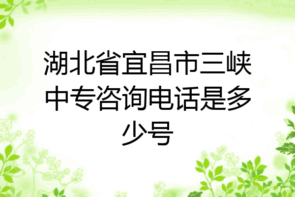 湖北省宜昌市三峡中专咨询电话是多少号