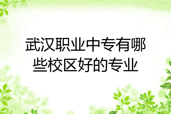 武汉职业中专有哪些校区好的专业