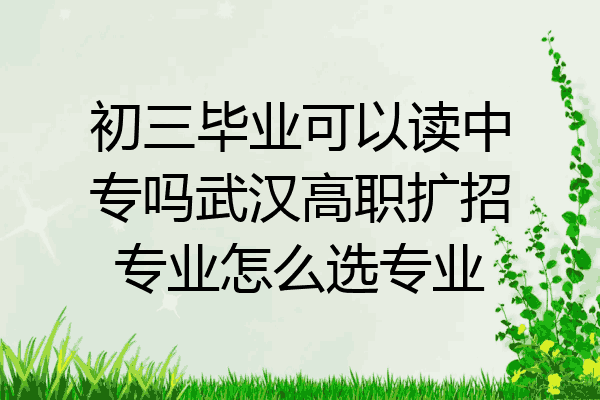 初三毕业可以读中专吗武汉高职扩招专业怎么选专业