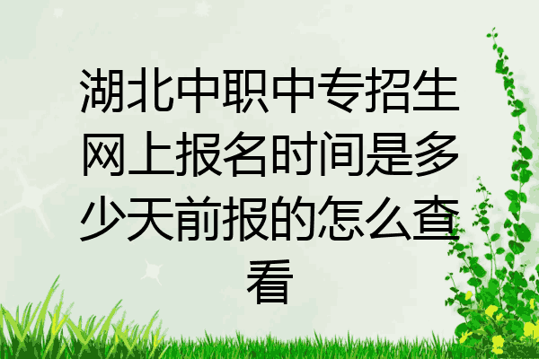 湖北中职中专招生网上报名时间是多少天前报的怎么查看