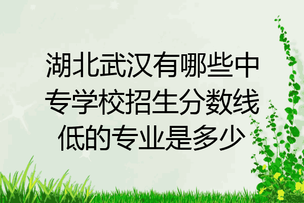 湖北武汉有哪些中专学校招生分数线低的专业是多少