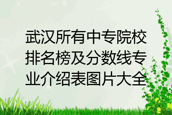 武汉所有中专院校排名榜及分数线专业介绍表图片大全
