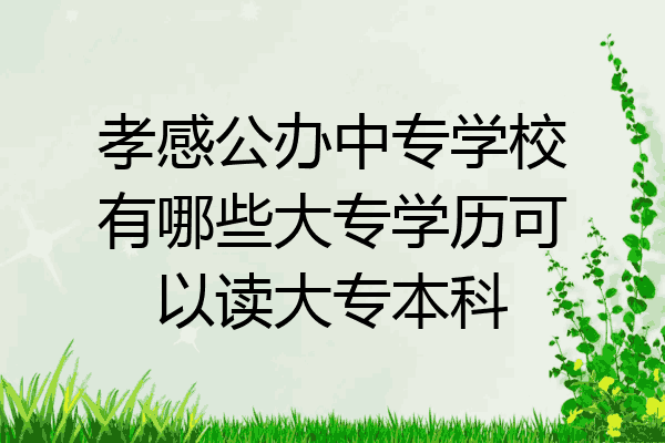 孝感公办中专学校有哪些大专学历可以读大专本科