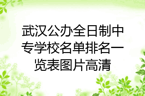 武汉公办全日制中专学校名单排名一览表图片高清