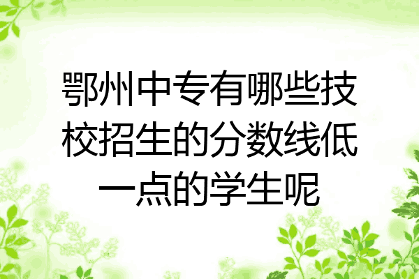 鄂州中专有哪些技校招生的分数线低一点的学生呢