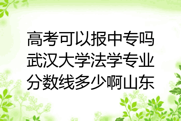 高考可以报中专吗武汉大学法学专业分数线多少啊山东