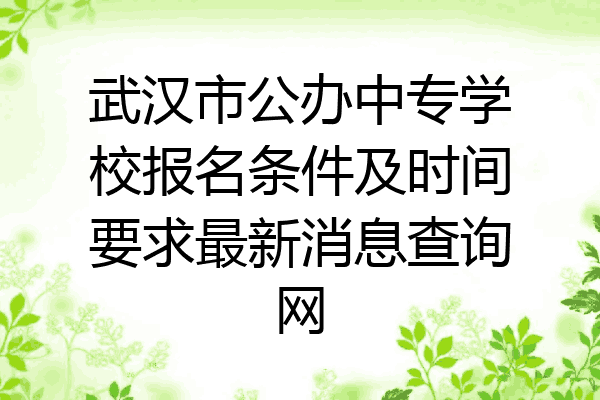 武汉市公办中专学校报名条件及时间要求最新消息查询网
