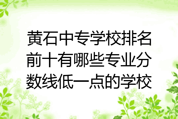 黄石中专学校排名前十有哪些专业分数线低一点的学校