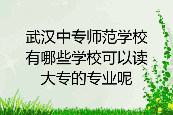 武汉中专师范学校有哪些学校可以读大专的专业呢