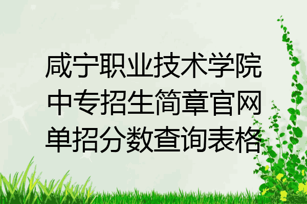 咸宁职业技术学院中专招生简章官网单招分数查询表格