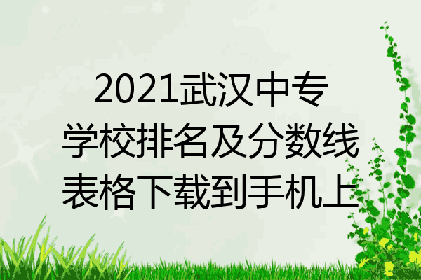 2021武汉中专学校排名及分数线表格下载到手机上