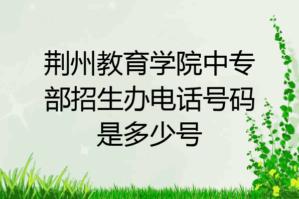 荆州教育学院中专部招生办电话号码是多少号