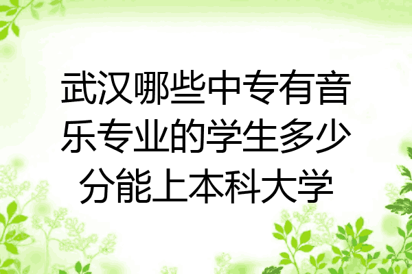 武汉哪些中专有音乐专业的学生多少分能上本科大学