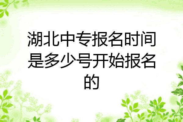 湖北中专报名时间是多少号开始报名的