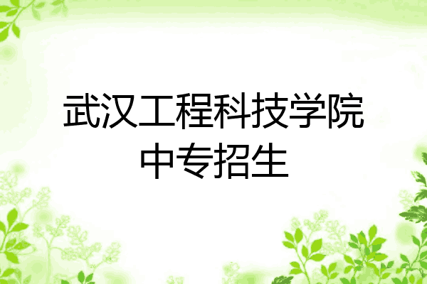 武汉工程科技学院中专招生