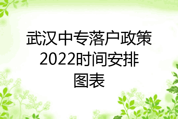 武汉中专落户政策2022时间安排图表
