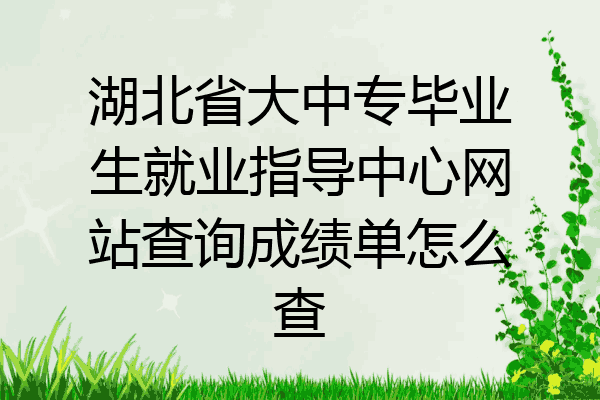 湖北省大中专毕业生就业指导中心网站查询成绩单怎么查