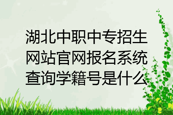 湖北中职中专招生网站官网报名系统查询学籍号是什么