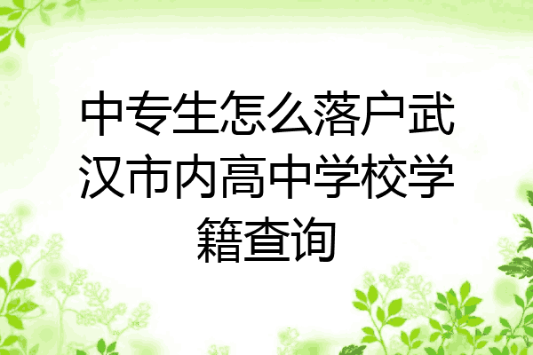 中专生怎么落户武汉市内高中学校学籍查询