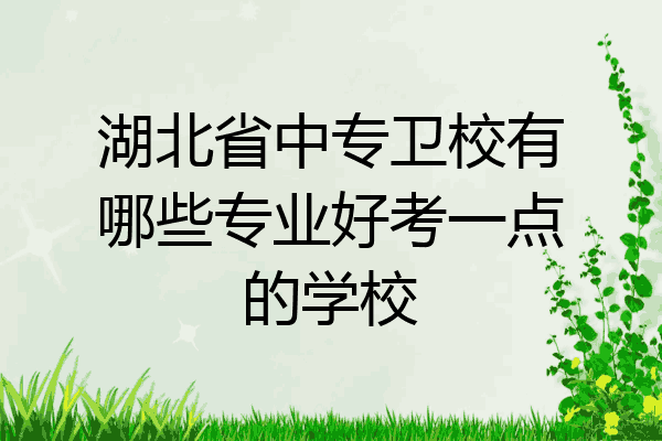 湖北省中专卫校有哪些专业好考一点的学校