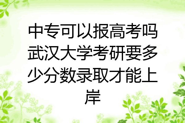 中专可以报高考吗武汉大学考研要多少分数录取才能上岸