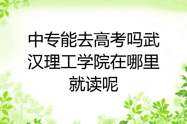 中专能去高考吗武汉理工学院在哪里就读呢