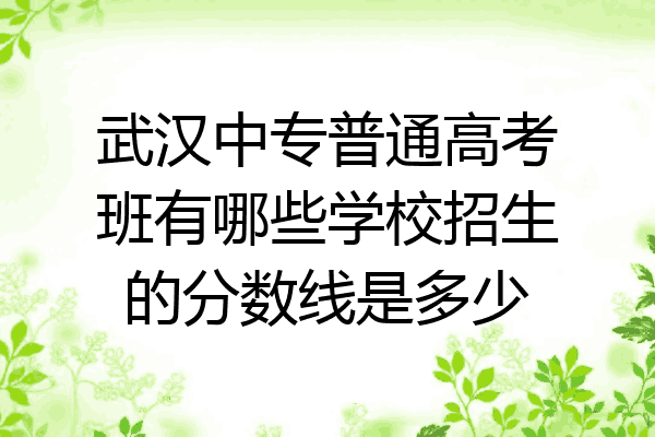 武汉中专普通高考班有哪些学校招生的分数线是多少