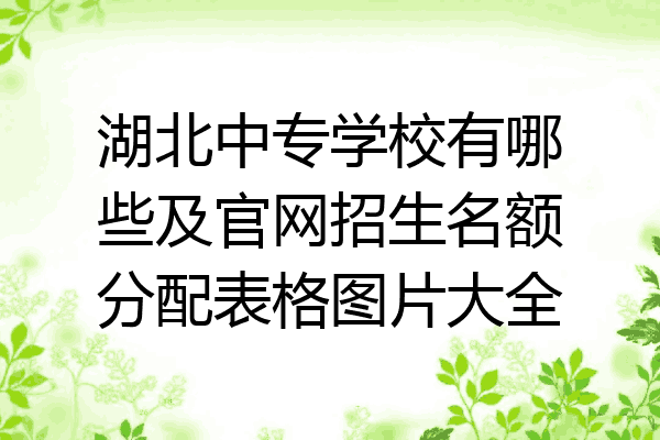 湖北中专学校有哪些及官网招生名额分配表格图片大全