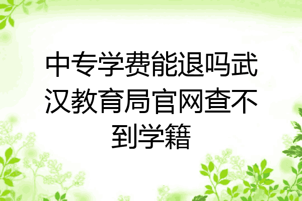 中专学费能退吗武汉教育局官网查不到学籍