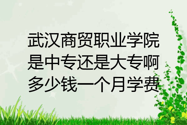 武汉商贸职业学院是中专还是大专啊多少钱一个月学费