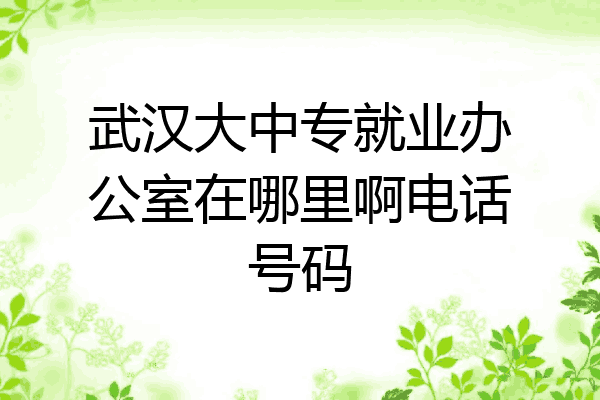 武汉大中专就业办公室在哪里啊电话号码