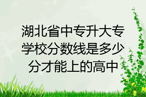 湖北省中专升大专学校分数线是多少分才能上的高中