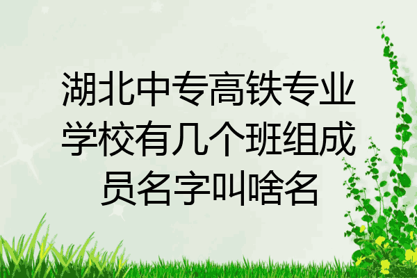 湖北中专高铁专业学校有几个班组成员名字叫啥名