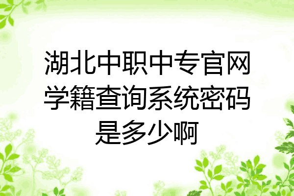 湖北中职中专官网学籍查询系统密码是多少啊