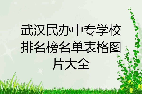武汉民办中专学校排名榜名单表格图片大全